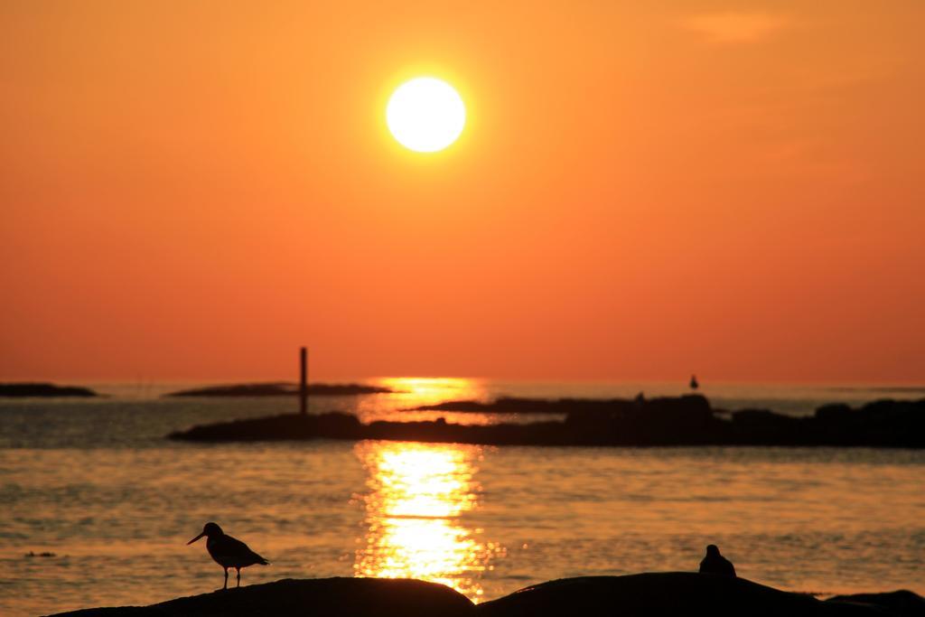 Midnattsol Rom Og Hytter Bleik Dış mekan fotoğraf